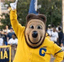 Oski Men's Lacrosse Club